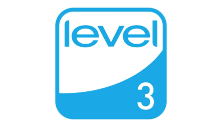 FEMB Level 3
