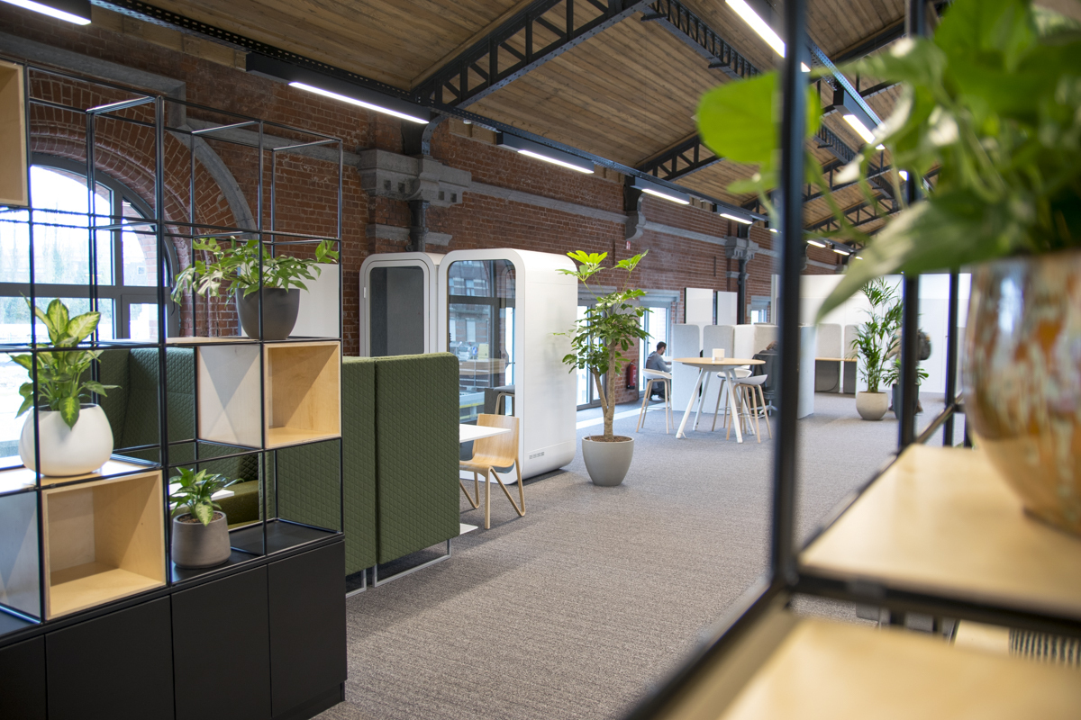 Terug naar kantoor? Op kousenvoeten of met de fanfare voorop?  image