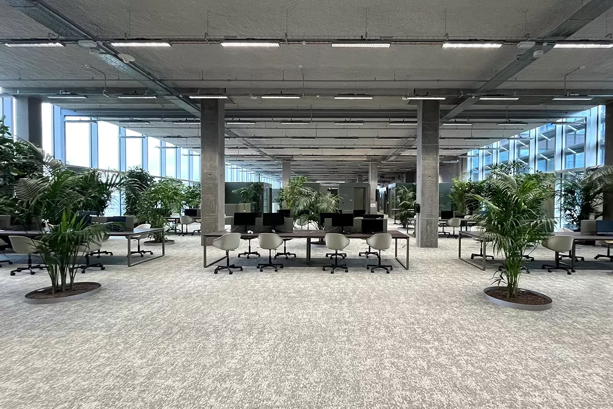 Bring nature into your workplace